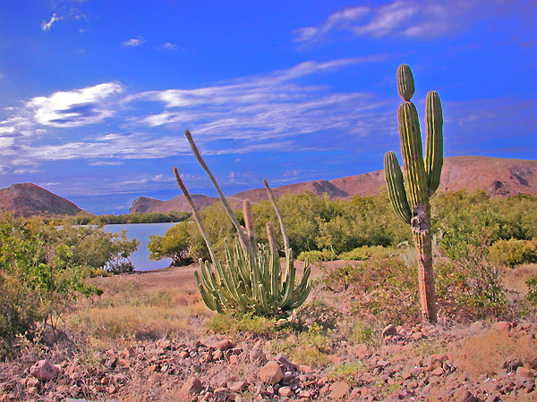 mexico