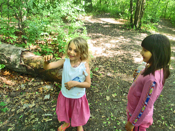 high-park-frog-catcher