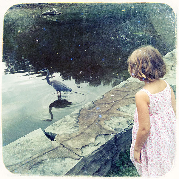 ari-and-the-heron